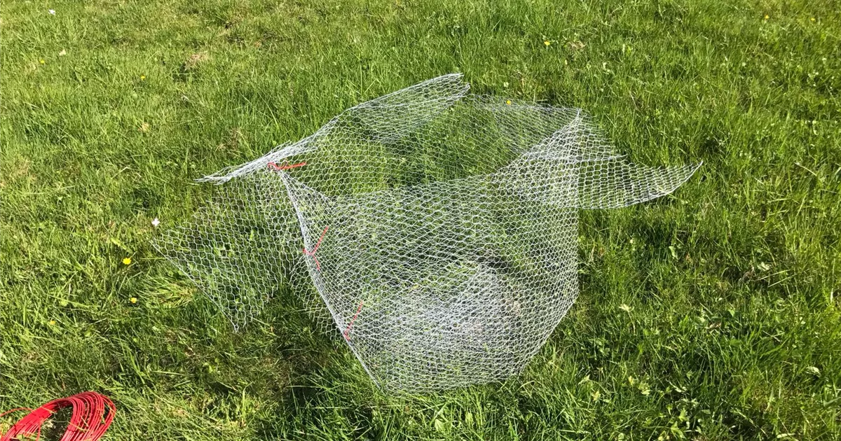 Mäusegitter, Mäusegitter für Obstbäume