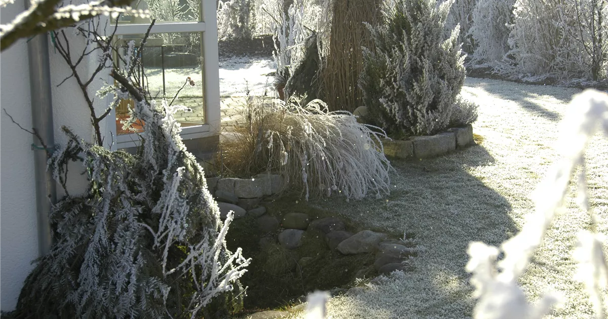 Pflanzenschutz im Winter Wärme und Feuchtigkeit in der kalten Jahreszeit