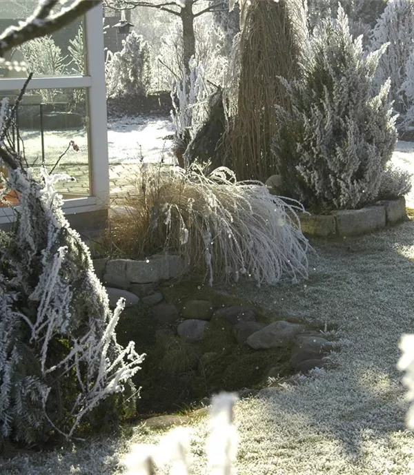 Bereit für die kalte Jahreszeit – Den Garten winterfest machen