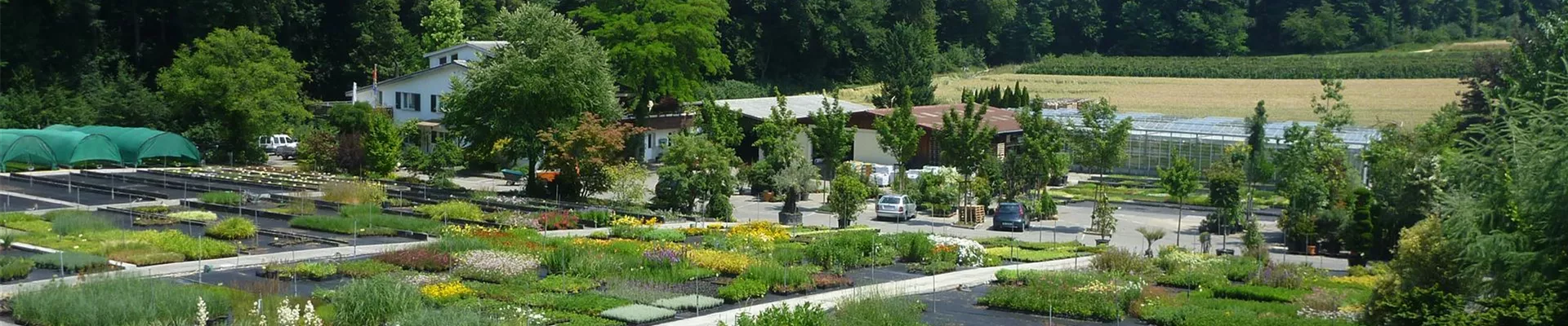 bauer-baumschulen-stauden.jpg bauer-baumschulen-stauden.jpg