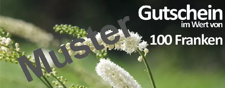 Gutschein Muster bearbeitet.jpg