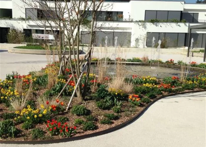 Bepflanzungen und Projekte