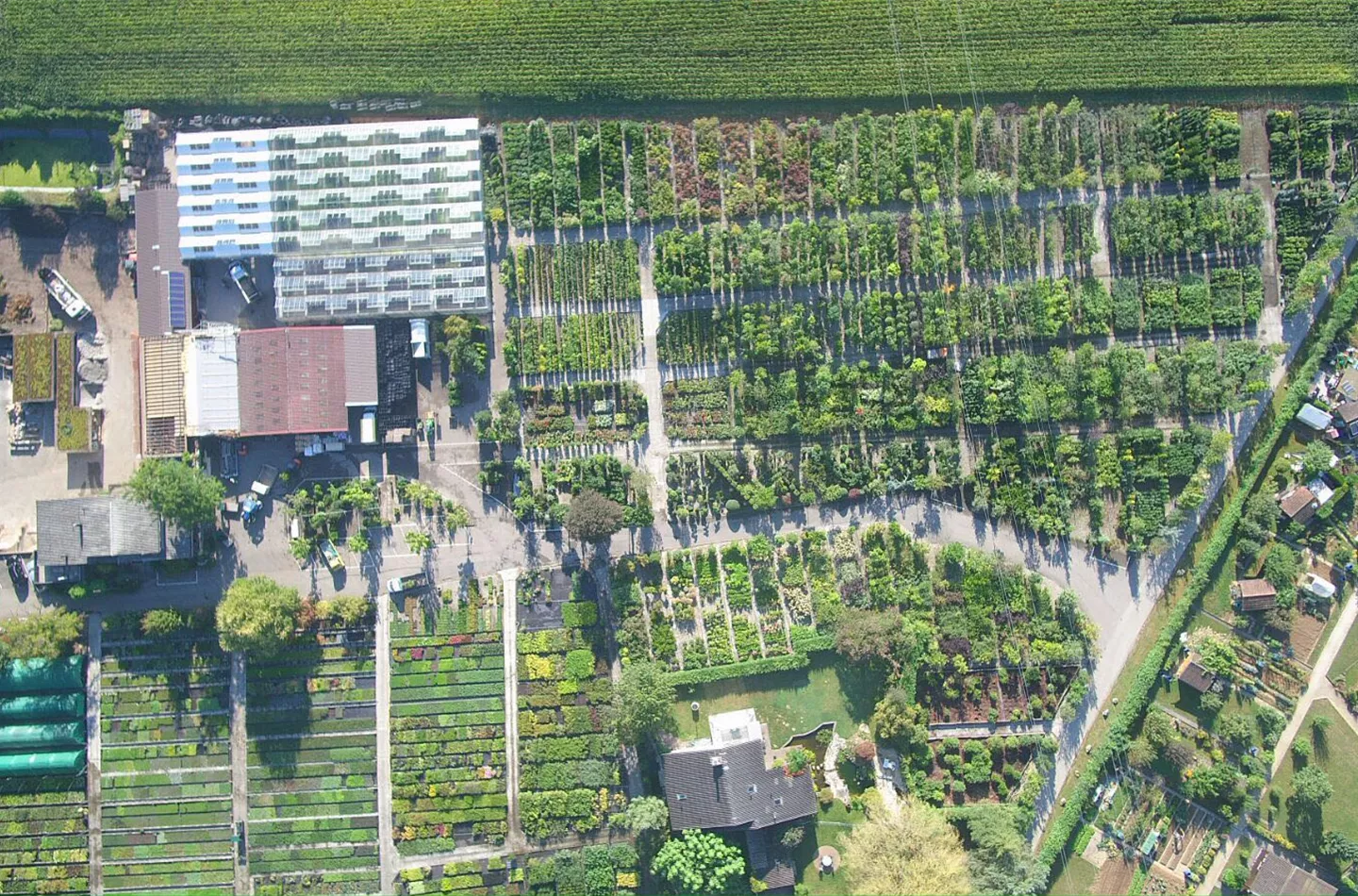 Pépinières Bauer AG Bottmingen Pépinières Bauer AG Bottmingen