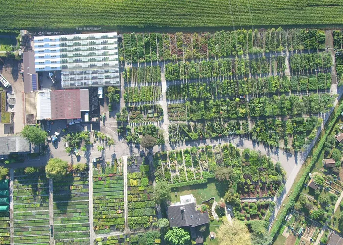 Bauer Baumschulen AG Bottmingen