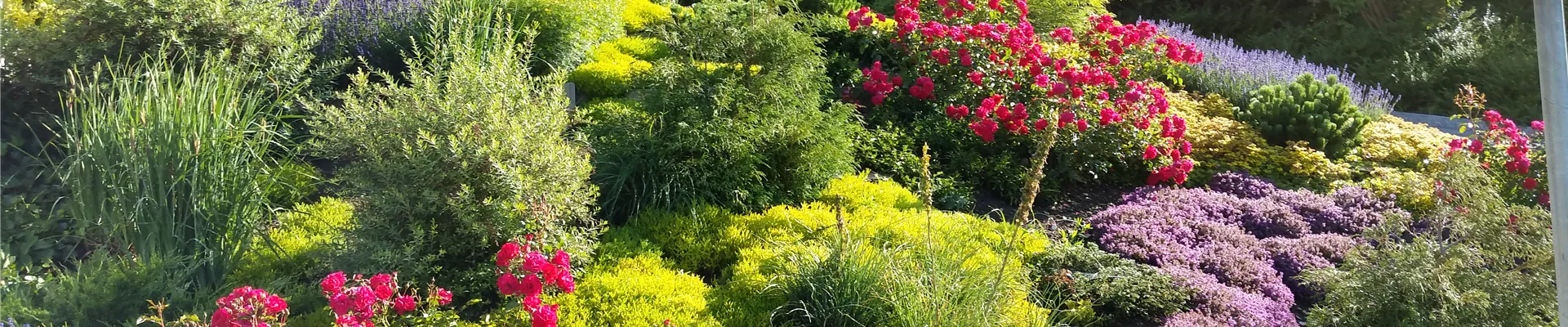 20150624_084812.jpg 20150624_084812.jpg