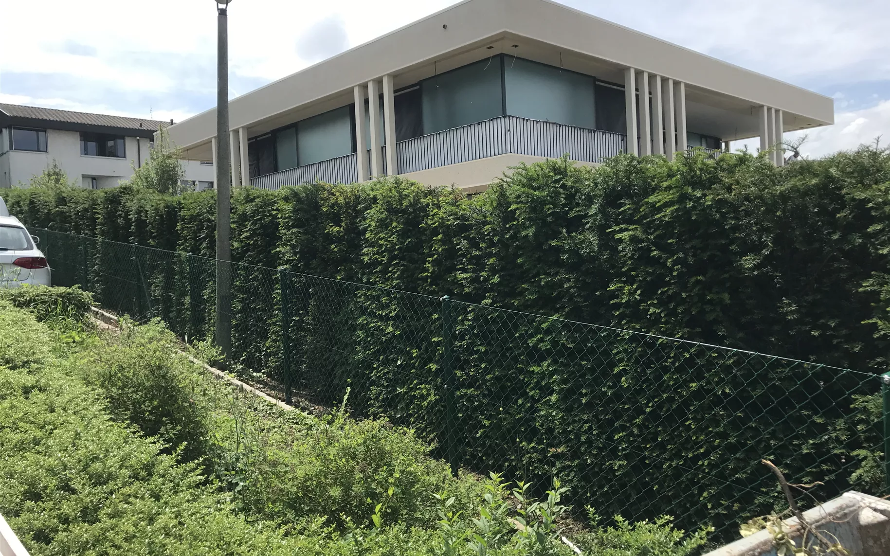 Taxus Heckenelement nach Pflanzung.JPG