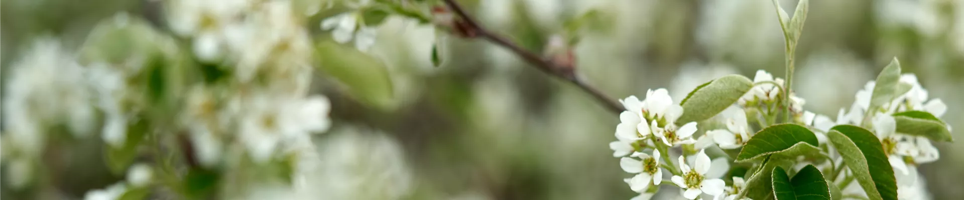 DSC00436.jpg DSC00436.jpg