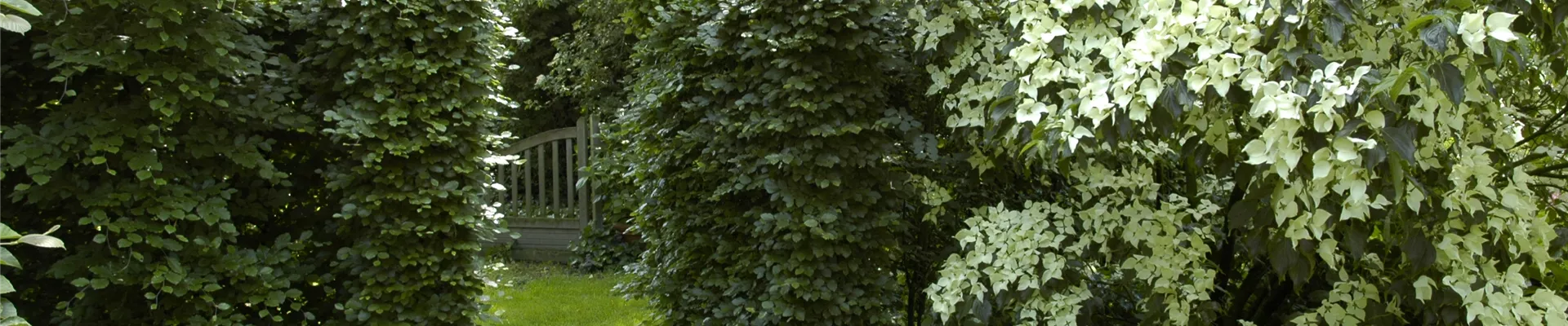 GS620374.jpg GS620374.jpg