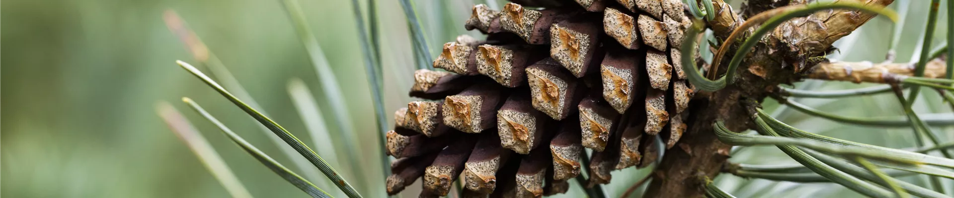 GS587102.jpg GS587102.jpg