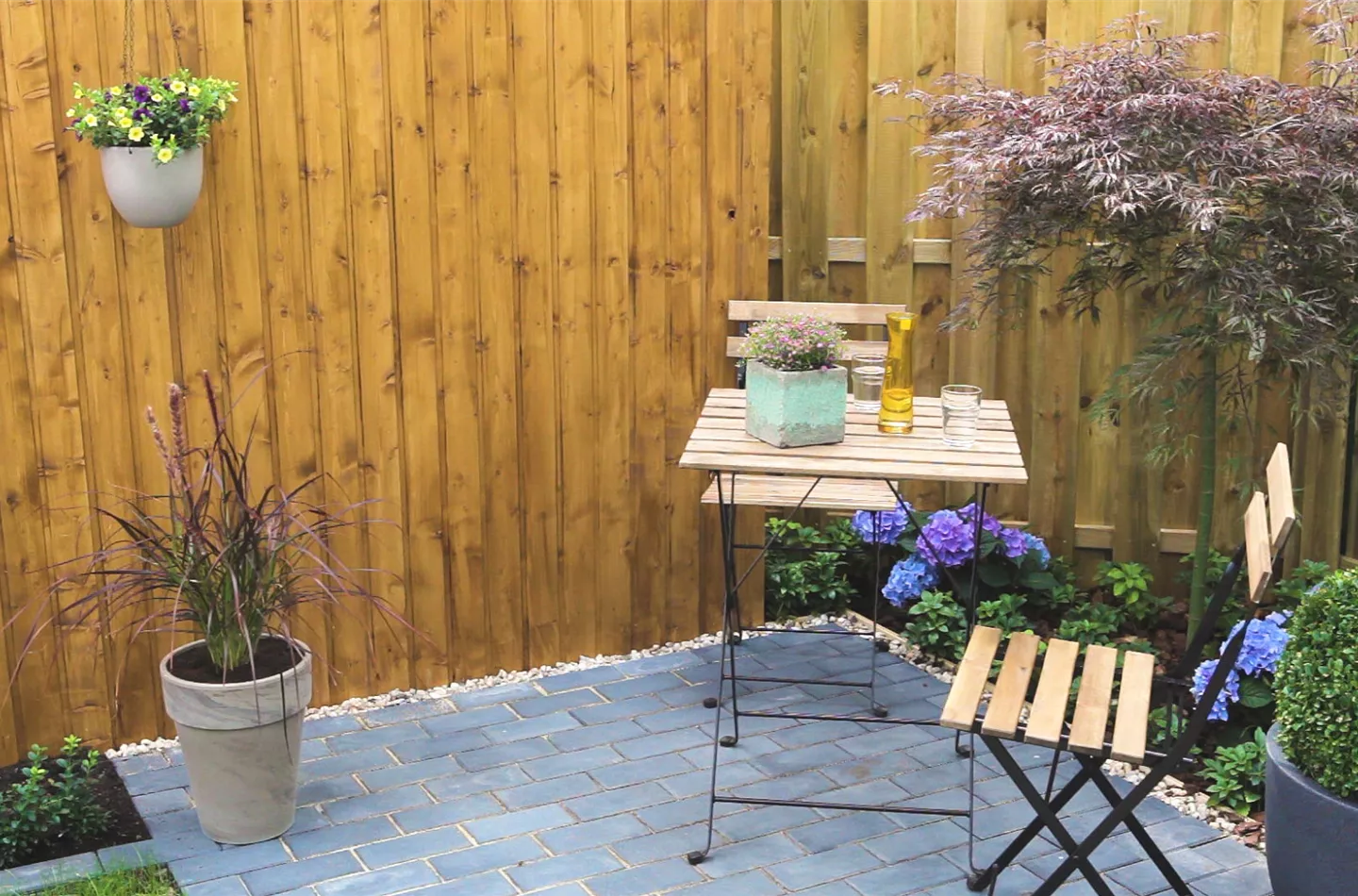 Federborstengras - Einpflanzen in ein Gefäss