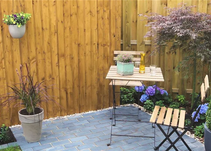 Federborstengras - Einpflanzen in ein Gefäss