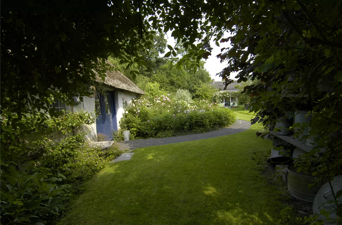 Pflanzen und Bäume als Schattenspender: 7 Ideen