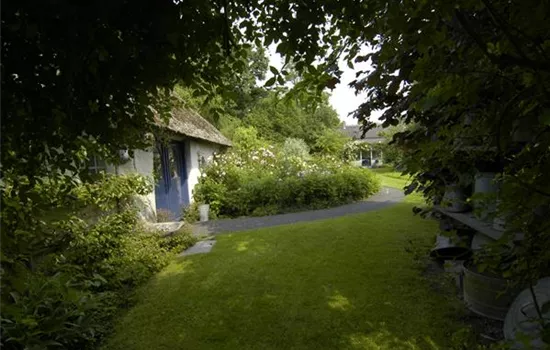 Pflanzen und Bäume als Schattenspender: 7 Ideen Pflanzen und Bäume als Schattenspender: 7 Ideen