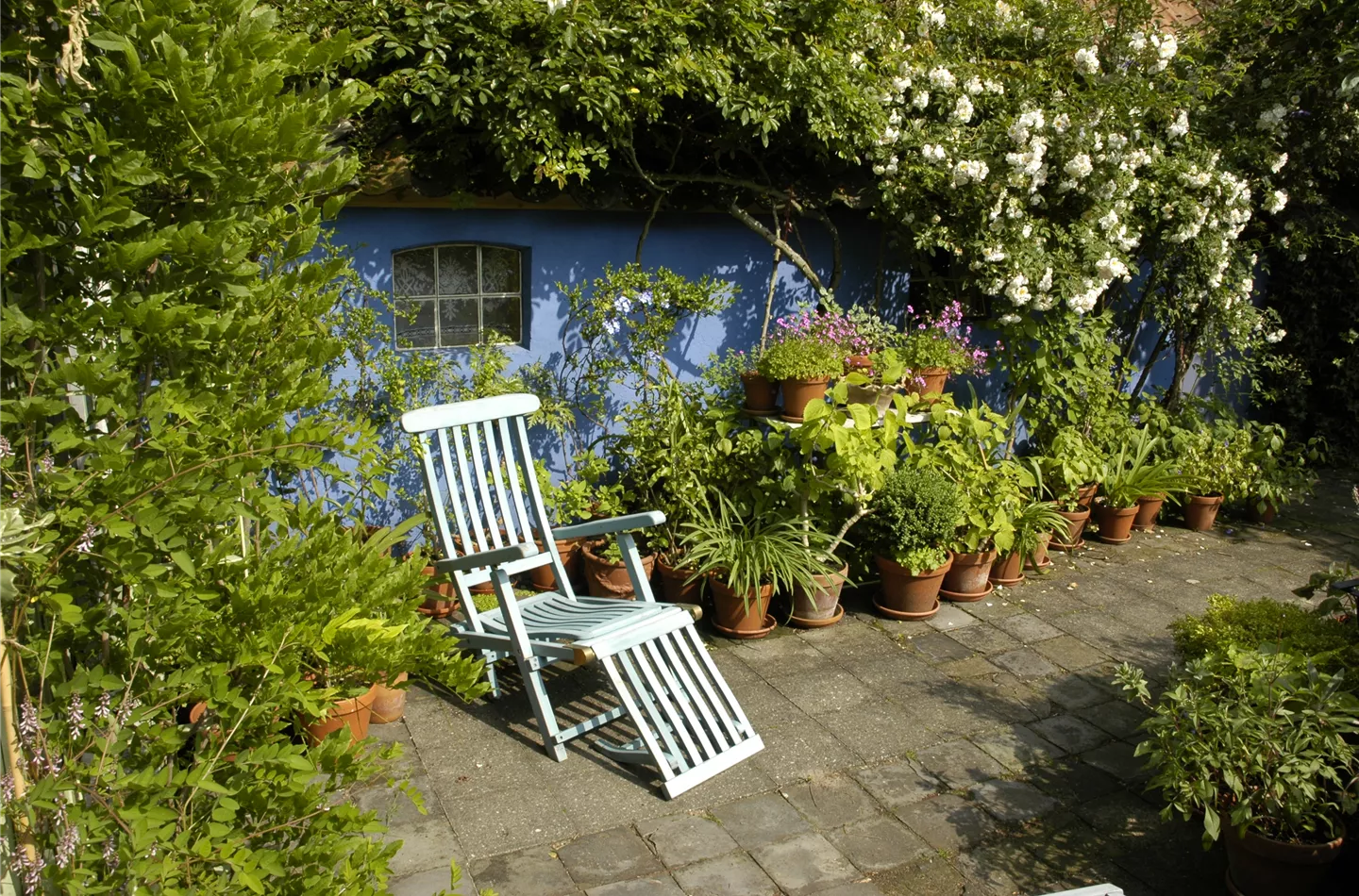 Schlingpflanzen benötigen eine Hilfe auf dem Weg nach oben 