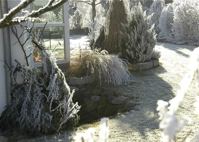 Pflanzenschutz im Winter – Wärme und Feuchtigkeit in der kalten Jahreszeit