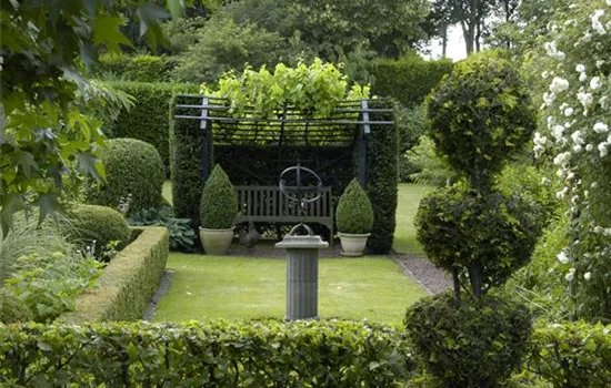 Hecken und Formgehölze schneiden: Formen & Inspiration Hecken und Formgehölze schneiden: Formen & Inspiration