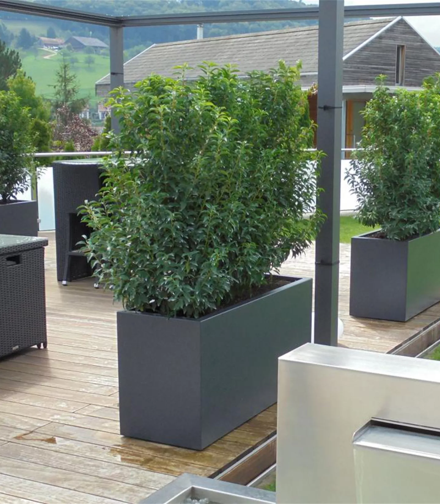 Protection visuelle dans l'auge