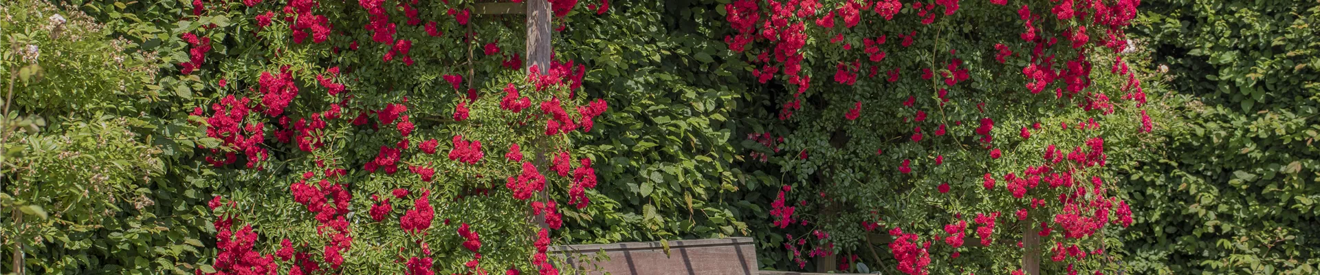 GS587529.jpg GS587529.jpg