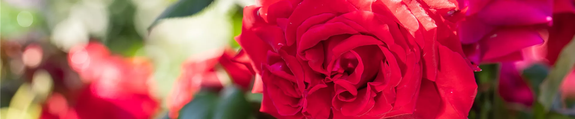 GS621221.jpg GS621221.jpg