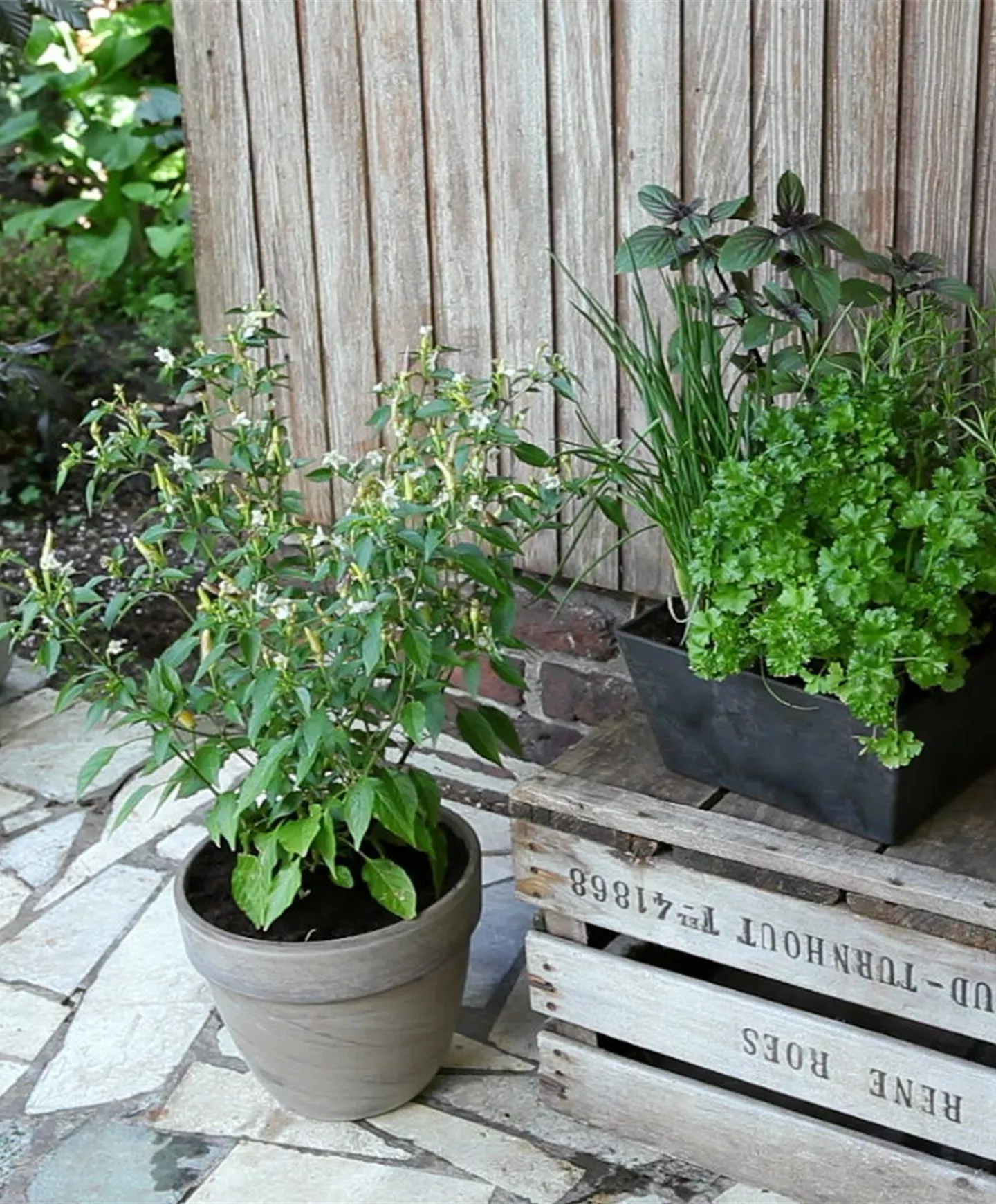 Pflanzgefässe Pflanzgefässe