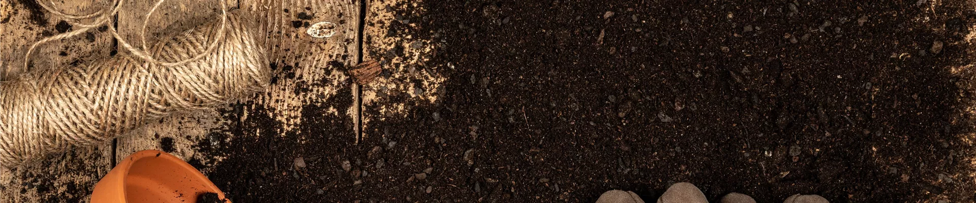 GS658070.jpg GS658070.jpg