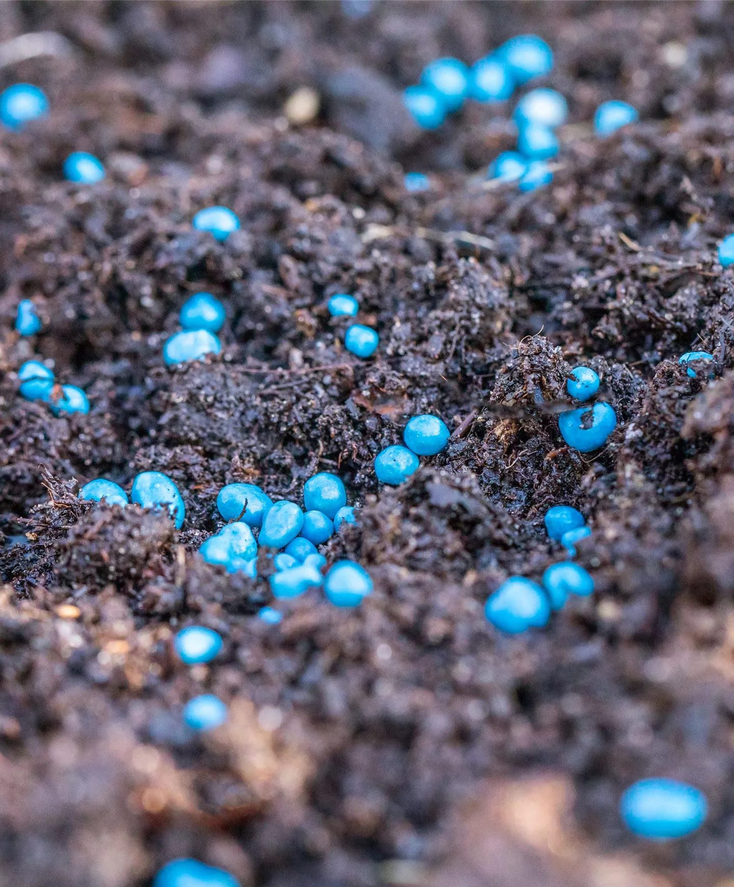 Acheter-de-l'engrais-pour-le-jardin Acheter-de-l'engrais-pour-le-jardin