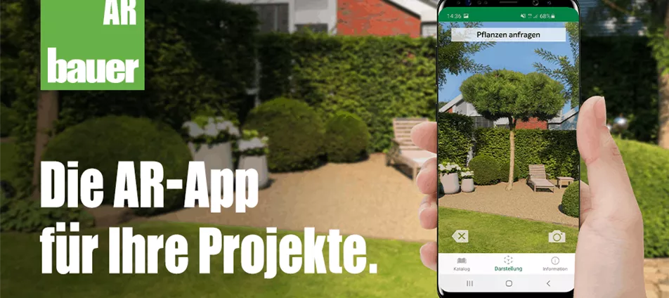 ar app (1).png