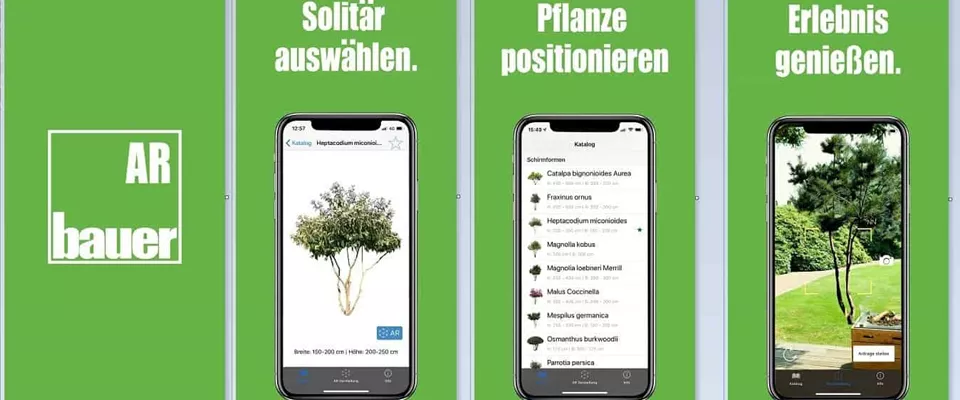 Digitale Baumschule entdecken