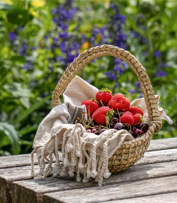 20 Beerensorten für den Garten