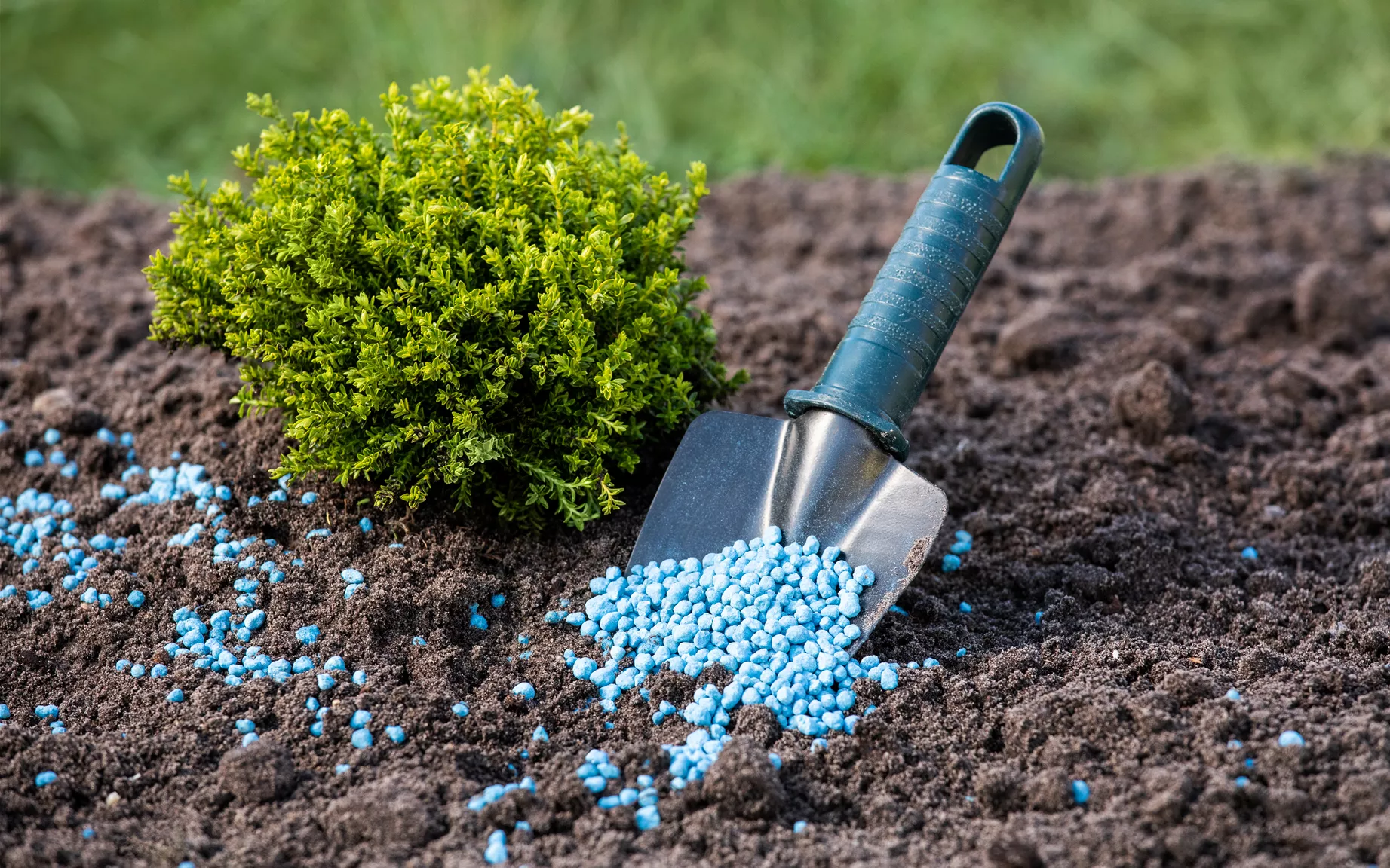 Dünger für den Garten kaufen