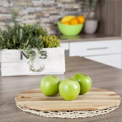 Sol Baum 4xv mDb Krbr. 100-150 20- 25 - Apfel 'Granny Smith' spät - Malus 'Granny Smith' CAC - Collection