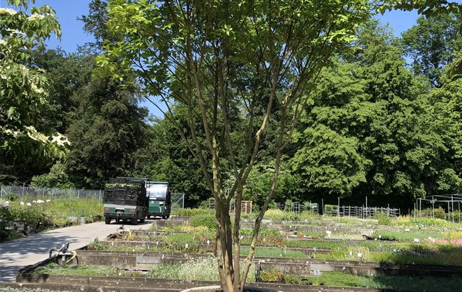 Atelier Vierkant Pflanzgefäss A80 weiss Atelier Vierkant Pflanzgefäss A80 weiss