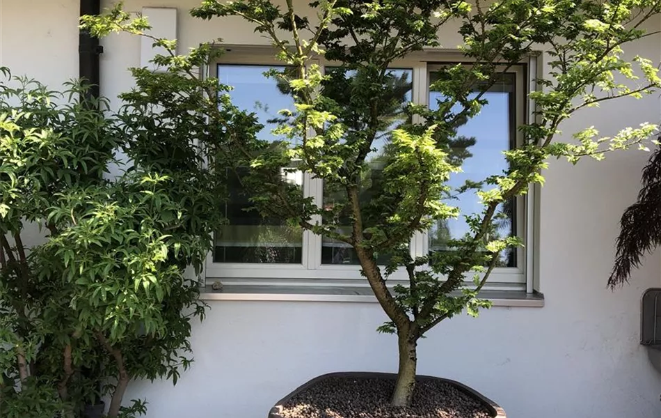 Atelier Vierkant Pflanzgefäss OE80 grau Atelier Vierkant Pflanzgefäss OE80 grau