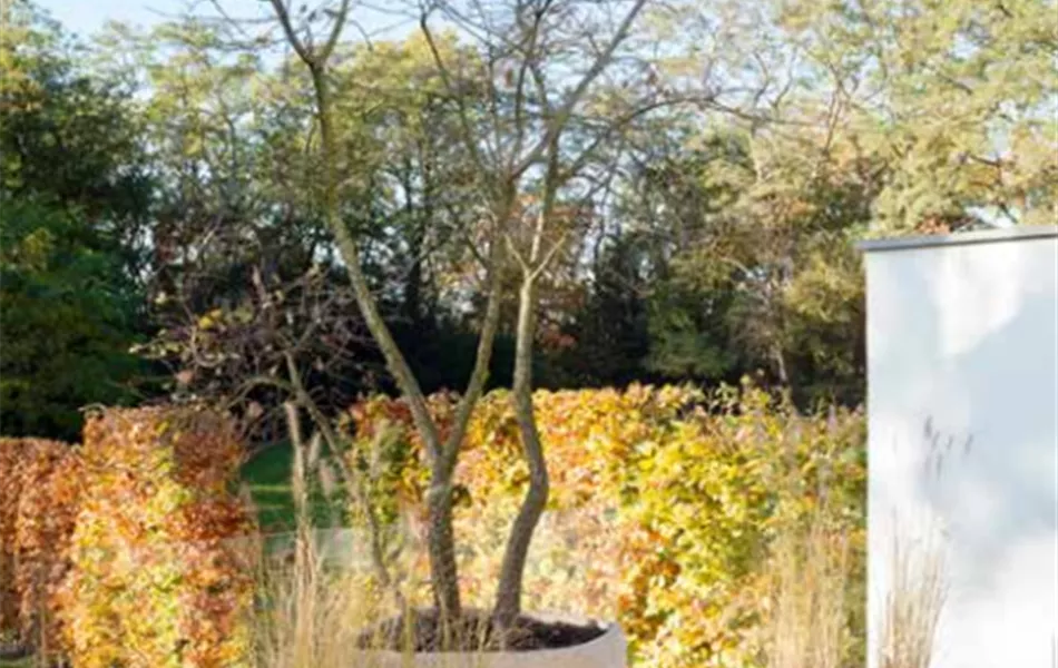 Atelier Vierkant Pflanzgefäss OE40 weiss Atelier Vierkant Pflanzgefäss OE40 weiss