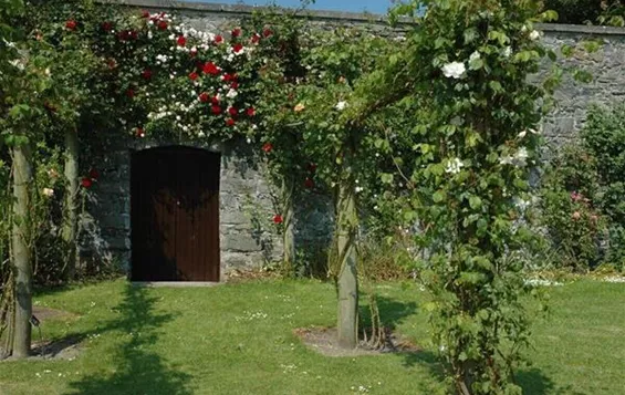 Natuerliche-Beschattung-Pergola.jpg