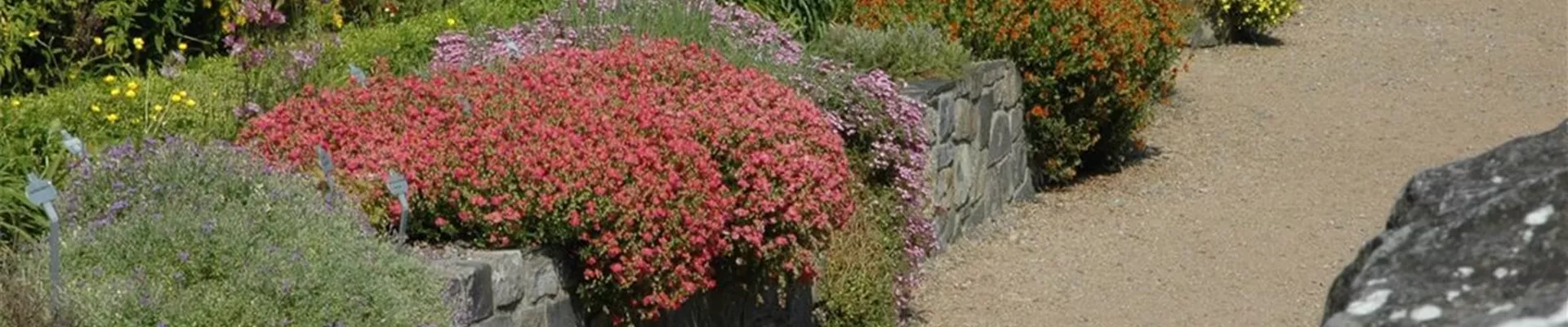 Steingarten.jpg Steingarten.jpg