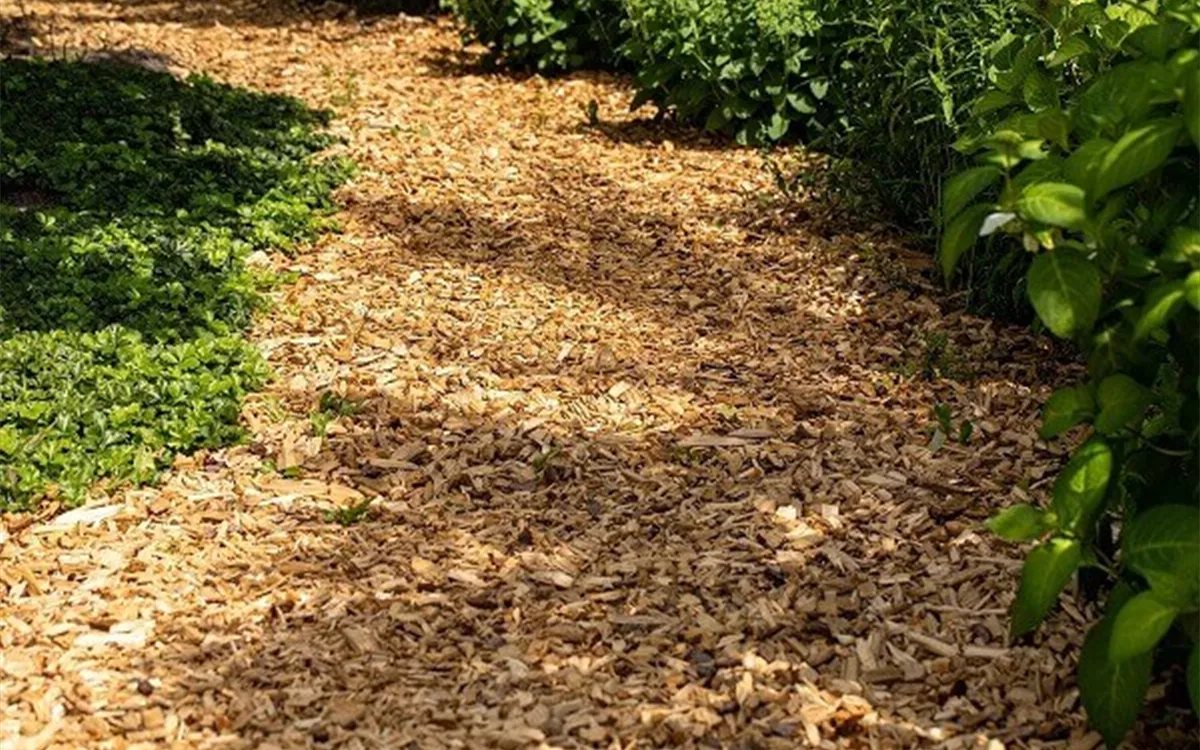 Wege im Nutzgarten