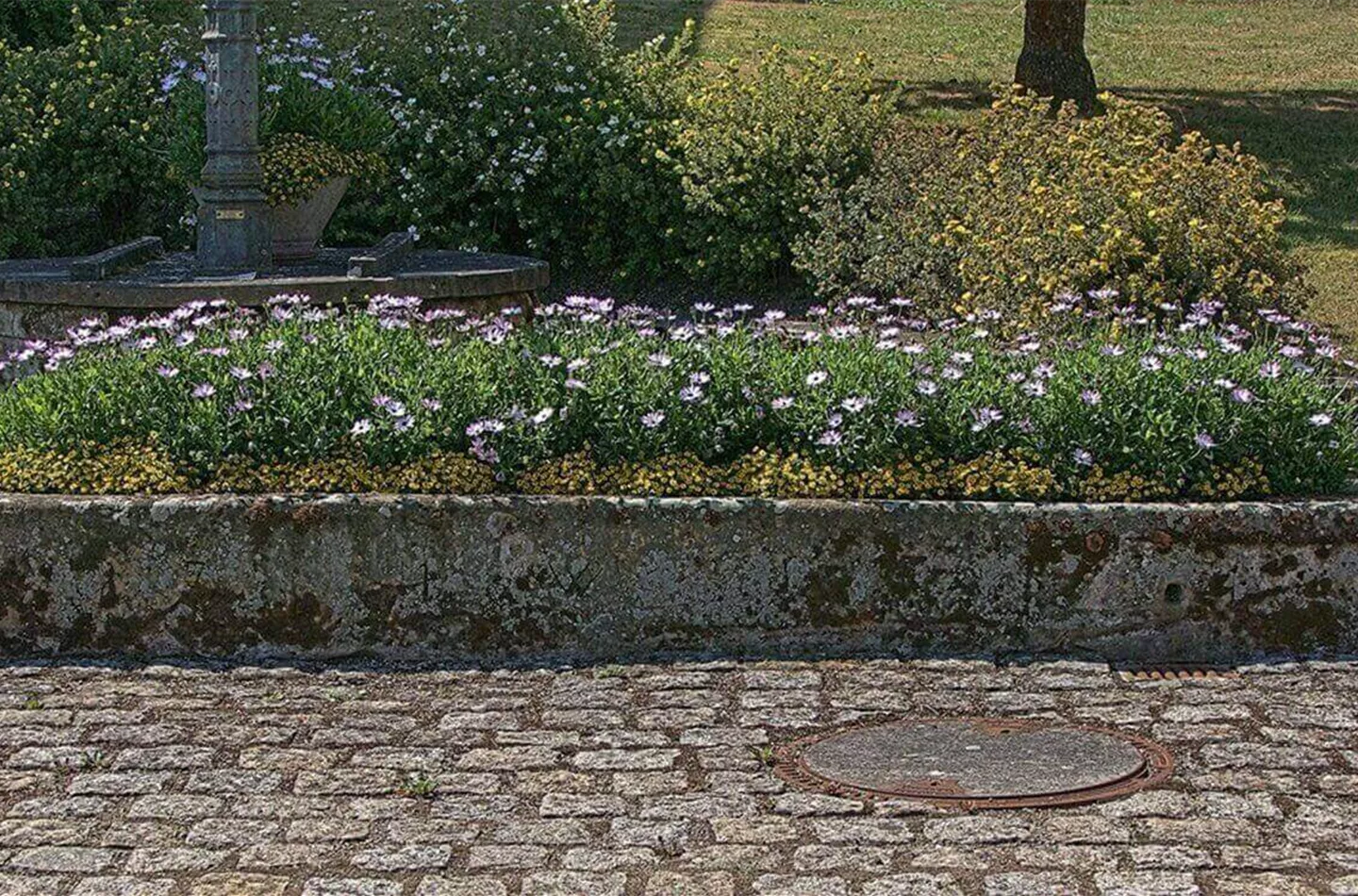 Steintrog bepflanzen: Anleitung & Gestaltungstipps Steintrog bepflanzen: Anleitung & Gestaltungstipps