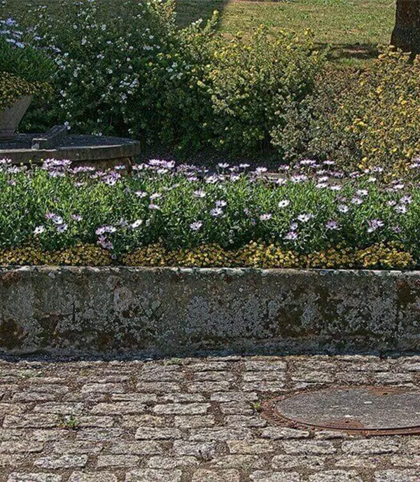 Steintrog bepflanzen: Anleitung & Gestaltungstipps