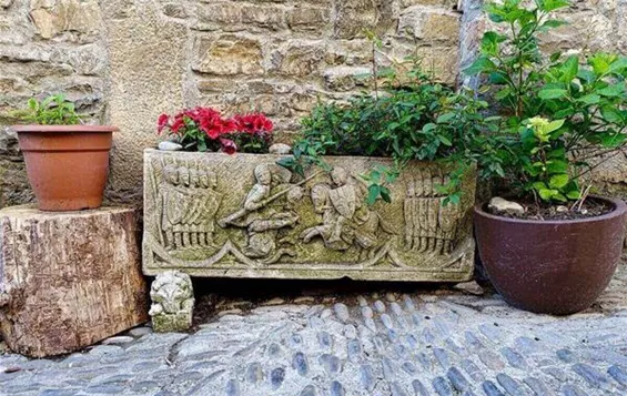Trog-bepflanzen.jpg