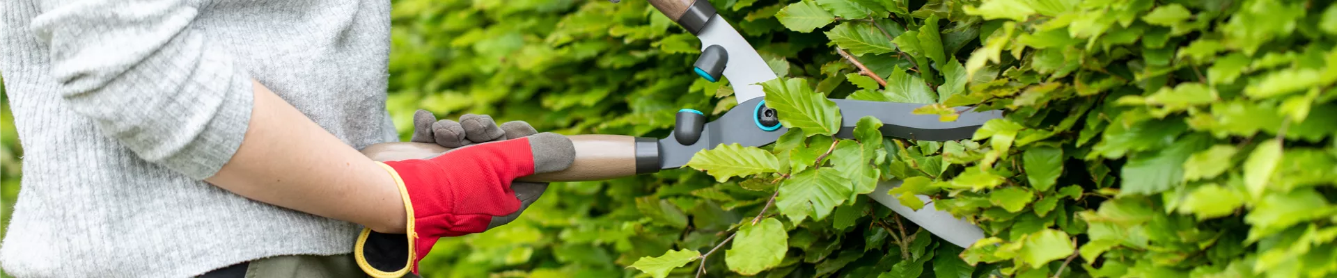 GS662804.jpg GS662804.jpg