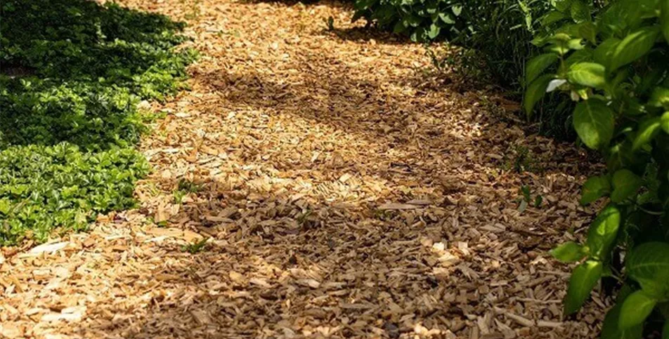 Wege im Nutzgarten anlegen