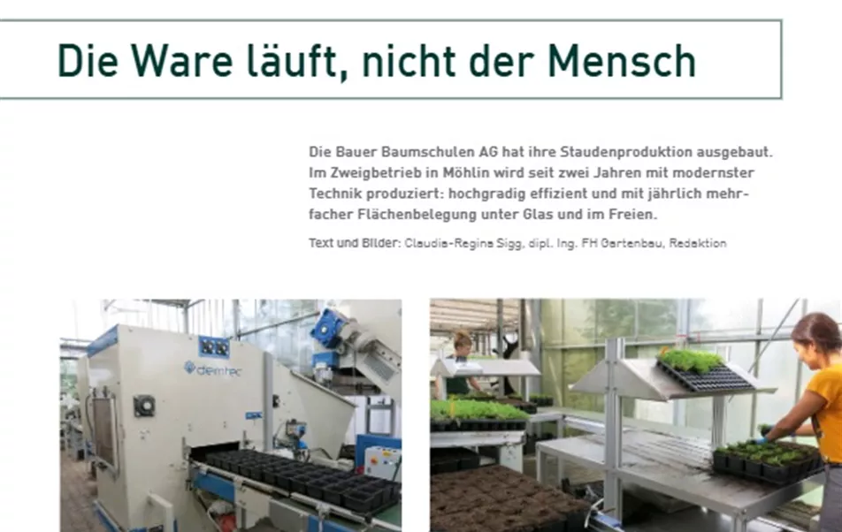 Prospekt-Zweigproduktionsbetrieb-Moehring.jpg