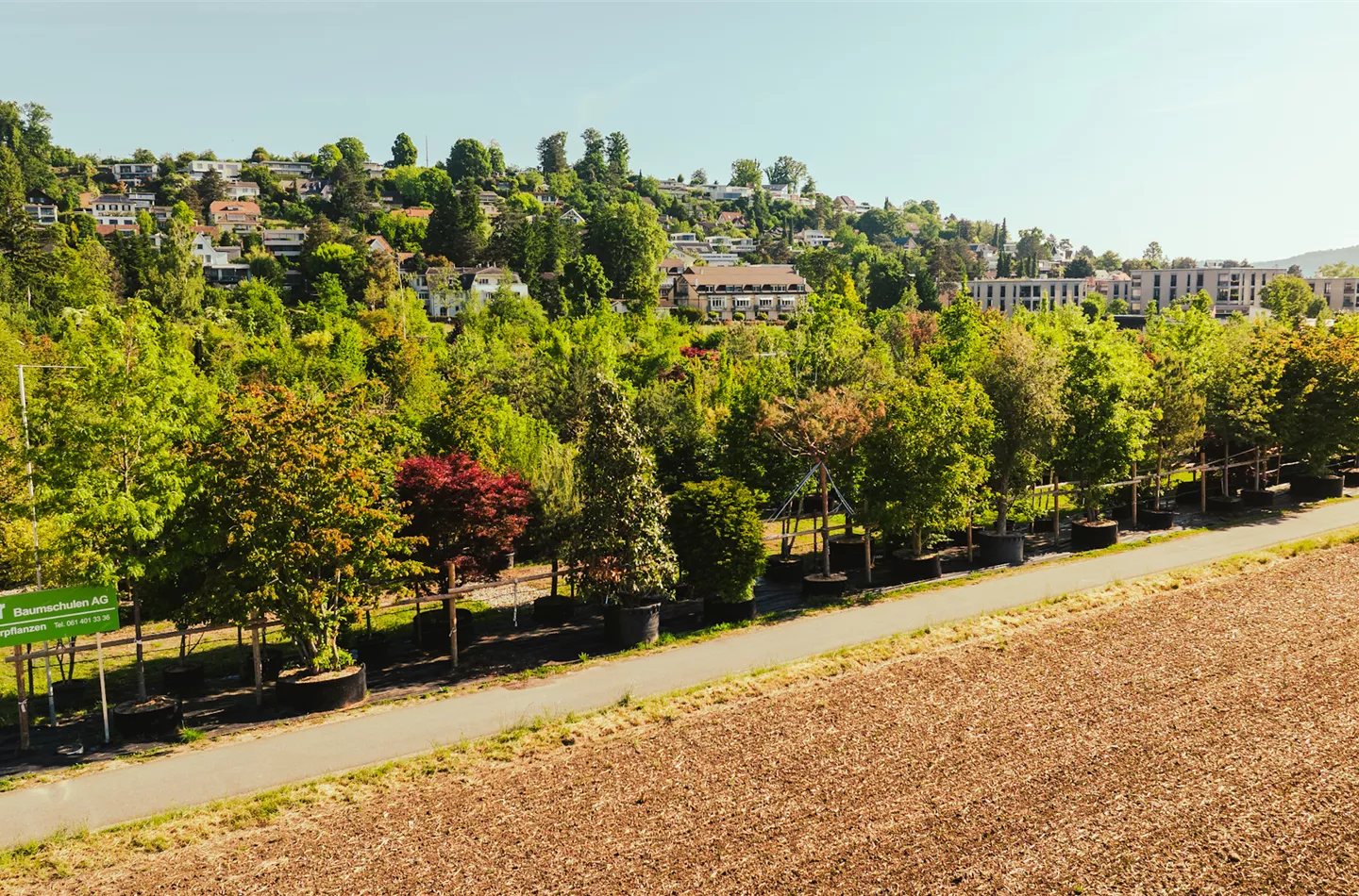 Pépinières Bauer AG Société de production de succursales Möhlin Pépinières Bauer AG Société de production de succursales Möhlin