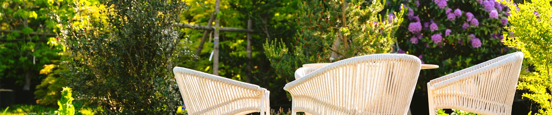 P1001040 x.jpg P1001040 x.jpg