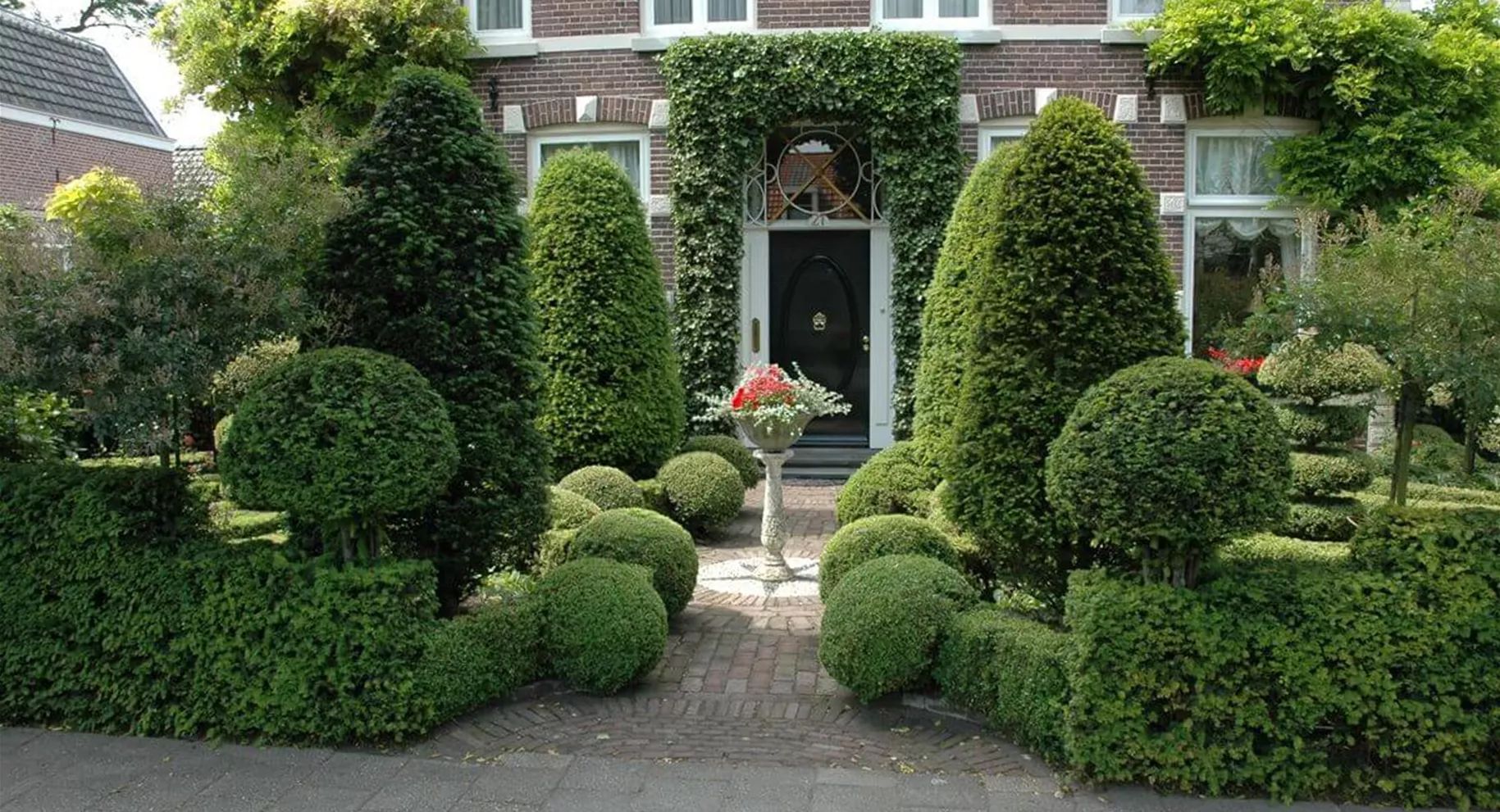Vorgarten Formgehölze