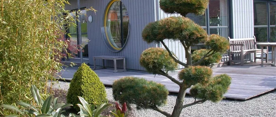 Bonsai-Formgehoelz.jpg