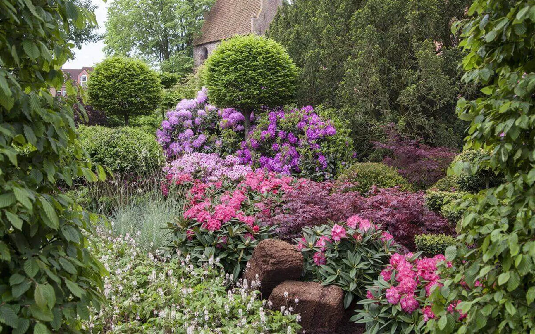 Rhododendron-im-Schattengarten.jpg