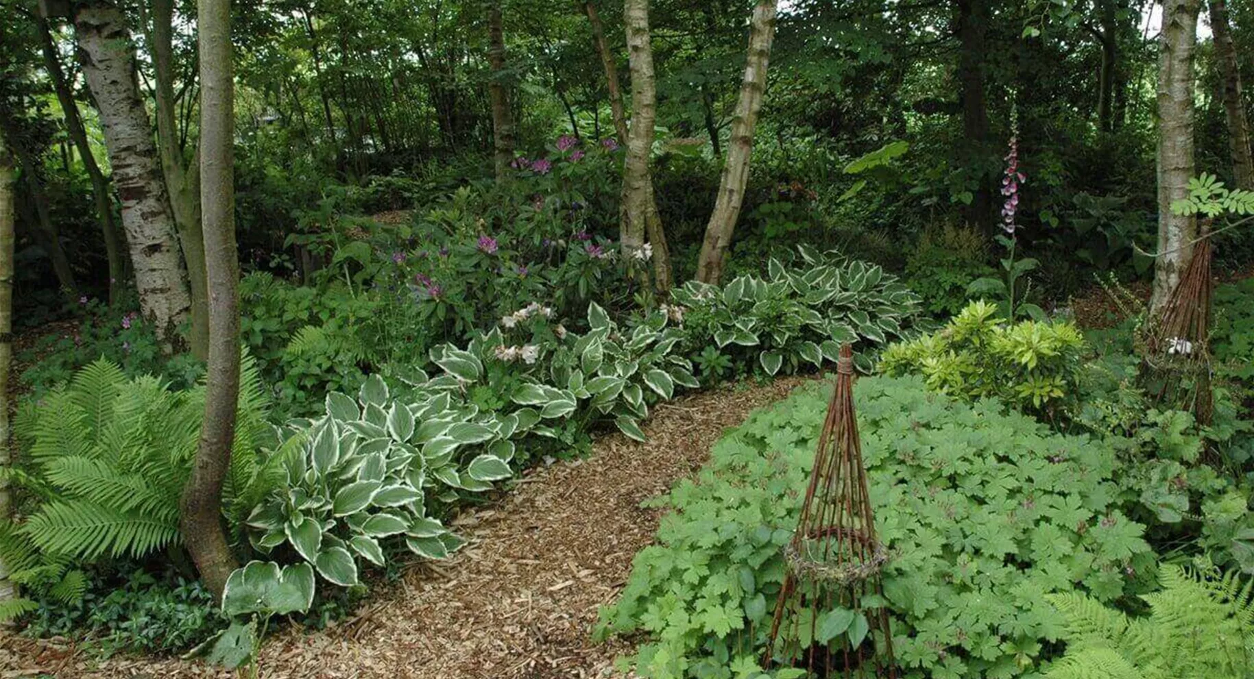 Schattengarten Ideen