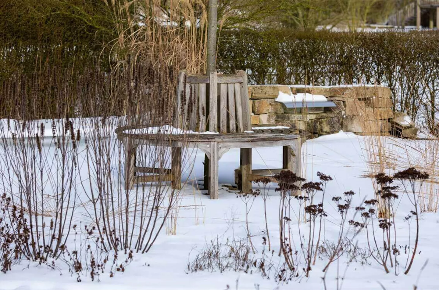 Tipps zum Winterschutz für Pflanzen | Bauer Baumschulen